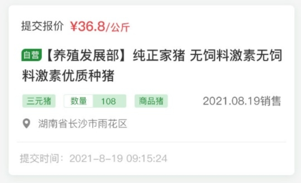 云迈科技生猪竞价系统：开启生猪交易新时代​
