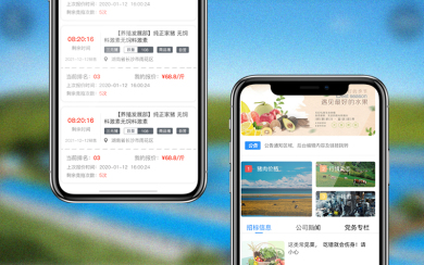 新五丰 生猪竞价app开发
