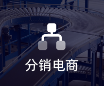分销电商小程序定制开发